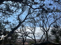 -青岛德国总督楼旧址博物馆