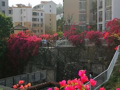 -小南山公园