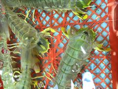 -渔民新村(番禺总店)