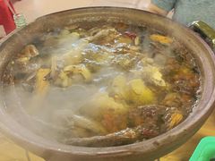 连州果园鸡-威邵鸡煲(西华路总店)