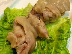 -丁老爷子苏香圆