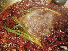 -小龙坎火锅(双林店)