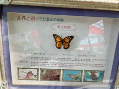-呀路古热带植物园