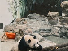 -杭州动物园