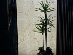 -黑木原精致料理·铁板烧