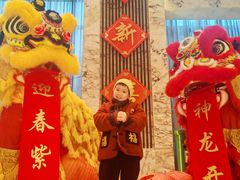 -上海漕河泾万丽酒店