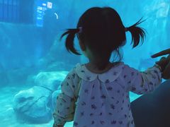 -福州罗源湾海洋世界旅游区