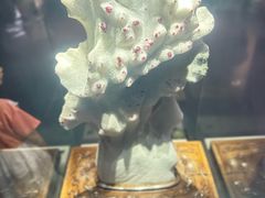 -安徽省地质博物馆