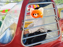 -顺德大良半月城游乐场