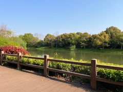 -上海海湾国家森林公园