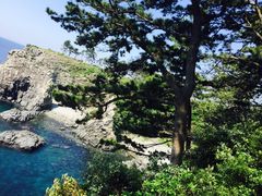 -龙头岩(Dragon Head Rock)