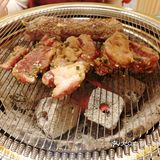 我要吃肉肉，吃烤肉