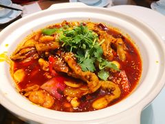 冒血旺-陈麻婆豆腐(旗舰店)
