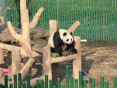 -沈阳森林动物园