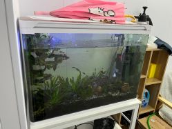 -苏薇摄影·照相馆