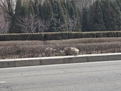 -赛汗塔拉风情园