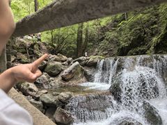 -牛背梁国家森林公园