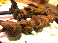 红柳枝羊肉串-湘里乡亲甲王二老店