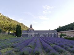 -塞南克修道院
