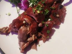 -巴特餐饮6加1音乐餐吧·新疆菜