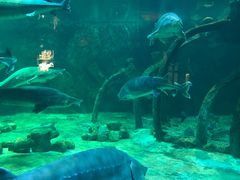 -华夏文旅西安度假区