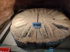 -河南自然博物馆