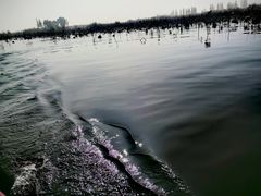 -白洋淀景区