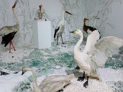 -南宫五洲植物乐园