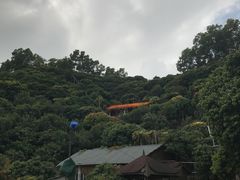 -鲤鱼塘农家山庄
