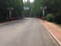 -日照海滨国家森林公园