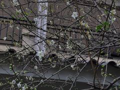 -平安（深圳）金融教育培训中心