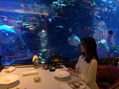 -迪拜帆船酒店海底餐厅