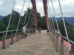 -金鸡山公园