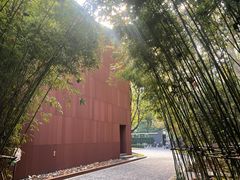 -中山公园