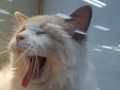 -乐宠宠物店(世纪金源店)