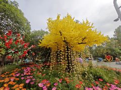 -洋湖国家湿地公园