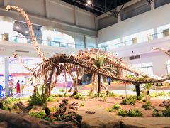 -自贡恐龙博物馆