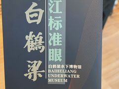 -白鹤梁水下博物馆