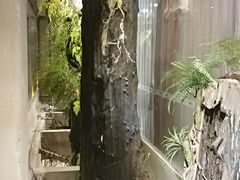 -大树头·花园餐厅(市桥店)