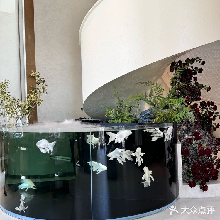 济南最梦幻下午茶➕西餐厅