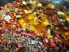 -雲蜀龙阁·金牌水煮鱼(方庄店)