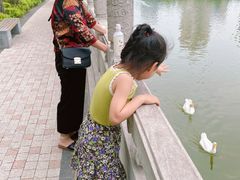 -迎泽公园