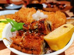 黄金双拼套餐（严选鳗鱼、猪排）-堂本家洋食别馆·炸猪排(中心城店)