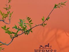 -深圳湾万象城(南山店)