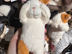 -铁像寺水街