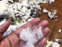 -可伦宾野生动物保护区