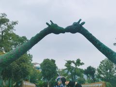 -苏州乐园森林水世界