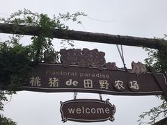 -田园东方蜜桃村的田野营地