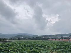 -古田会议纪念馆
