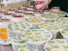 -德禄酸奶(莫家街店)